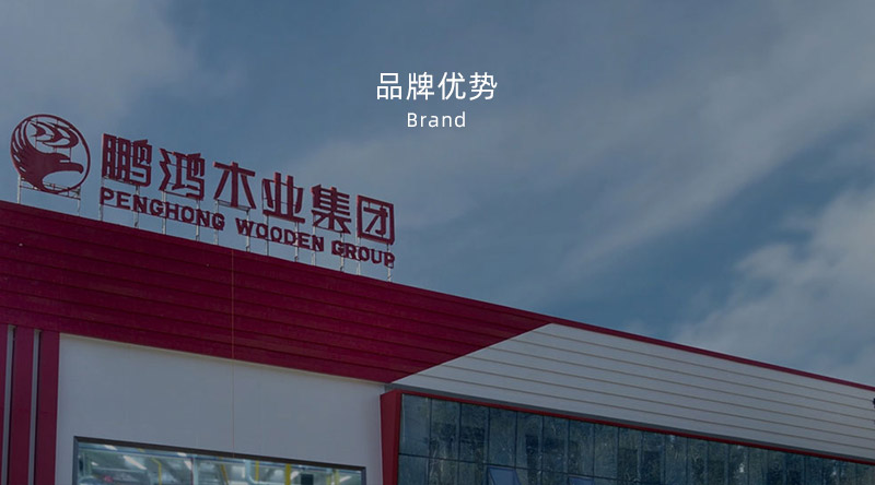 板材品牌、全屋定制品牌、生態板十大品牌